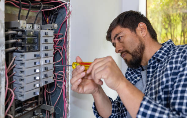 Best Home Electrical Repair  in Farley, IA